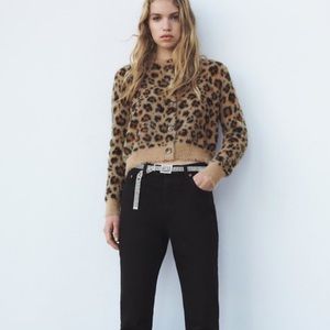 Zara Cheetah Cardigan